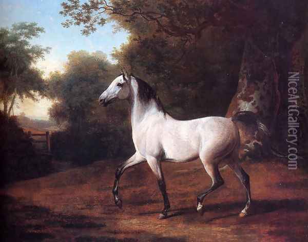 A Grey Arab Stallion In A Wooded Landscape Oil Painting - Jacques Laurent Agasse