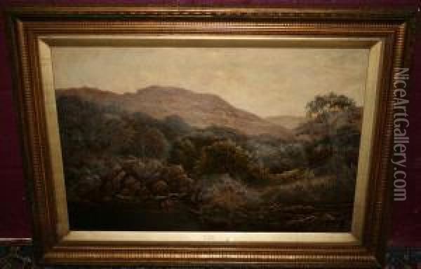 Mountainous River Landscape Oil Painting - Thomas Spinks