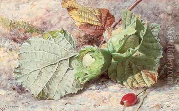 Still life of hazelnuts and a rose hip Oil Painting - Helen Cordelia Coleman Angell