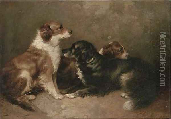 Resting setters Oil Painting - George Armfield