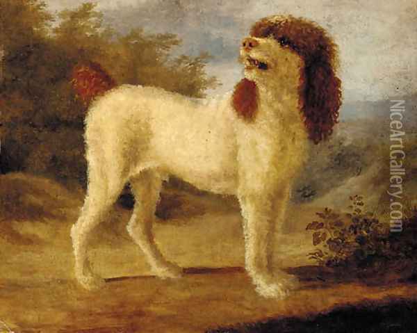 A water spaniel Oil Painting - Jacques Laurent Agasse