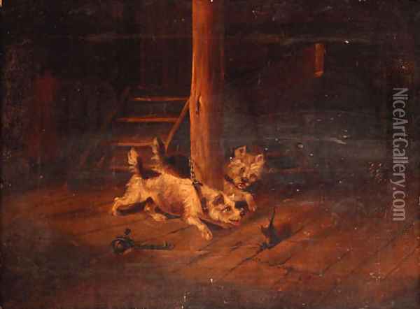Terriers ratting in a barn Oil Painting - George Armfield