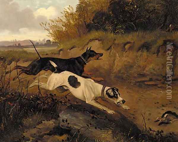 A doberman pinscher and a great dane chasing a rabbit Oil Painting - George Armfield