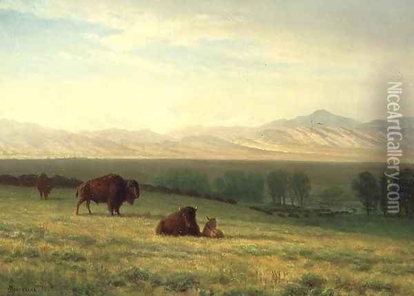Buffalo on the Plains, c.1890 Oil Painting - Albert Bierstadt