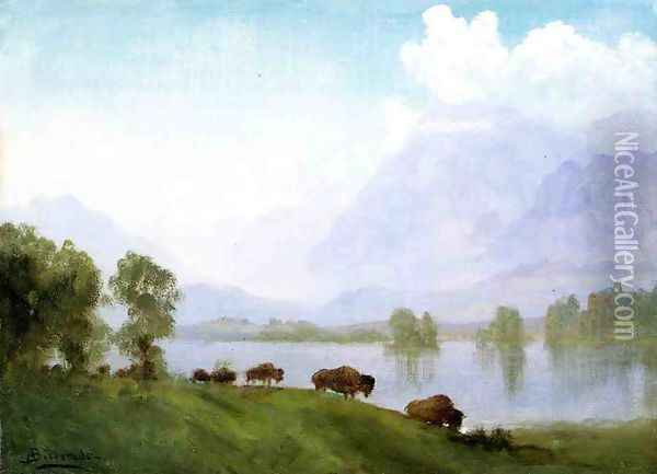 Buffalo Country Oil Painting - Albert Bierstadt