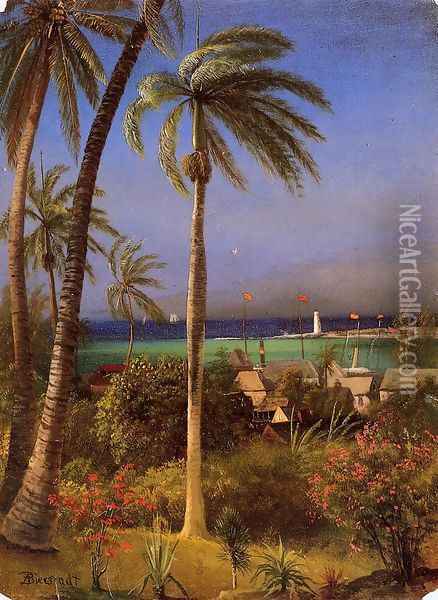 Bahamian View Oil Painting - Albert Bierstadt