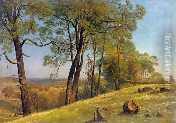 Landscape, Rockland County, California Oil Painting - Albert Bierstadt