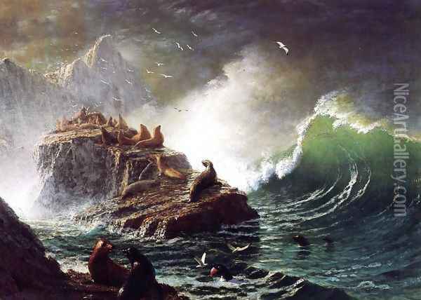 Seals On The Rocks Farallon Islands Oil Painting - Albert Bierstadt