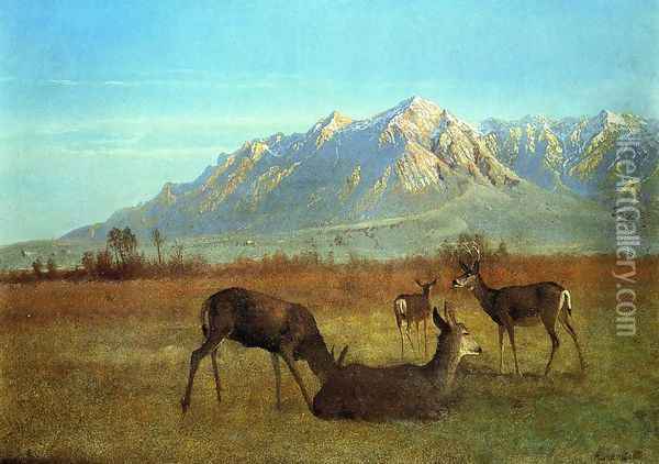 Deer in a Mountain Home Oil Painting - Albert Bierstadt