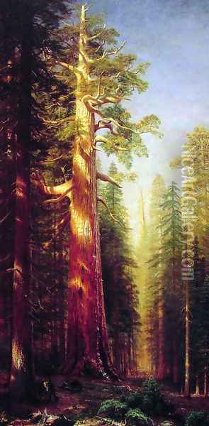 The Great Trees Mariposa Grove California Oil Painting - Albert Bierstadt