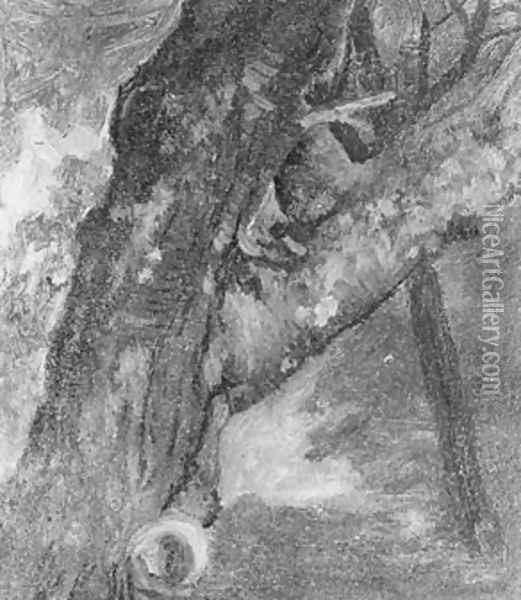 Study Of A Tree Oil Painting - Albert Bierstadt
