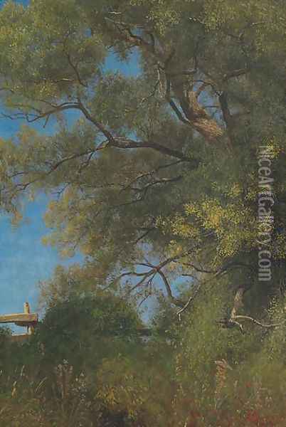 Salem Landscape Oil Painting - Albert Bierstadt