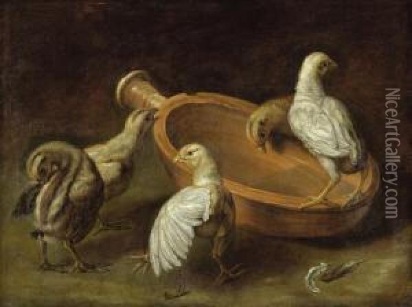 Zwei Huhner Und Drei Kuken Oil Painting - Jacob van der (Giacomo da Castello) Kerckhoven