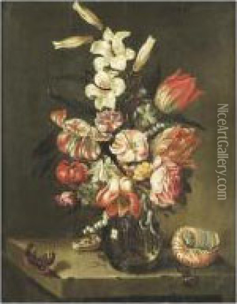Bouquet De Fleurs Et Coquillage Sur Un Entablement Oil Painting - Jan Baptist van Fornenburgh