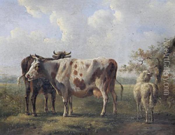 Cattle In A Field Oil Painting - Albertus Verhoesen