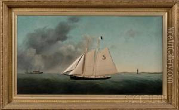 Diorama Portrait Of The Pilot Boat Oil Painting - Thomas Willis