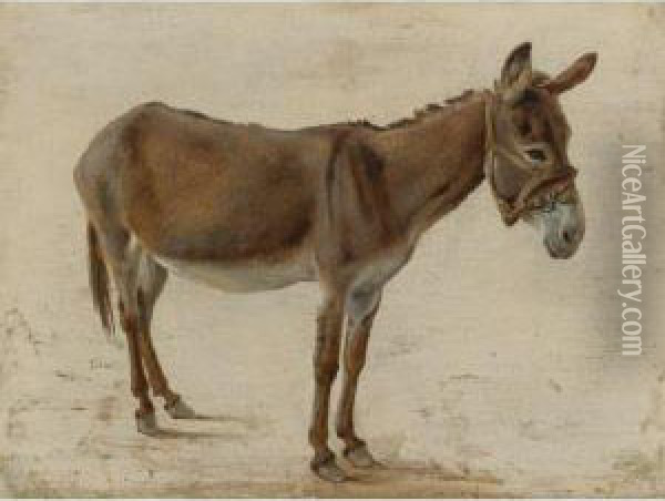 A Donkey Oil Painting - Jacques Laurent Agasse