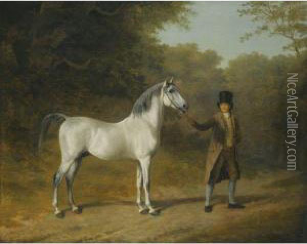 Wellesley Arabian Held By A Groom Oil Painting - Jacques Laurent Agasse