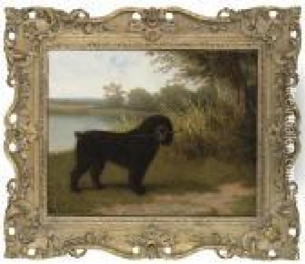 A Black Water Dog With A Stick By A Lake Oil Painting - Jacques Laurent Agasse