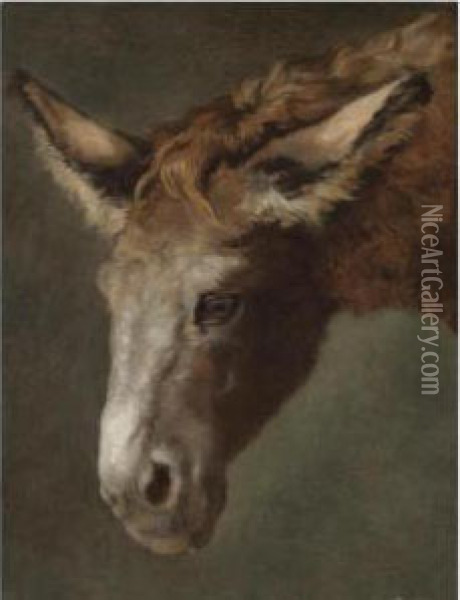 A Study For The Head Of A Donkey Oil Painting - Jacques Laurent Agasse