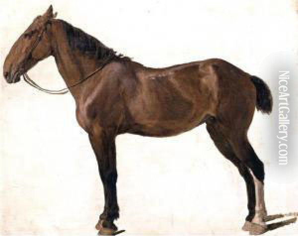 Portrait Of A Horse Oil Painting - Jacques Laurent Agasse