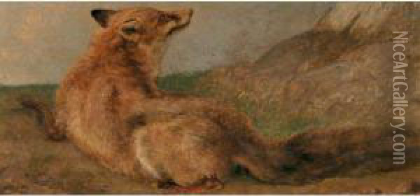 Liegender Fuchs Oil Painting - Jacques Laurent Agasse