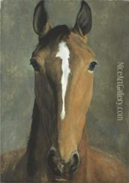 Head Of A Bay Horse Oil Painting - Jacques Laurent Agasse