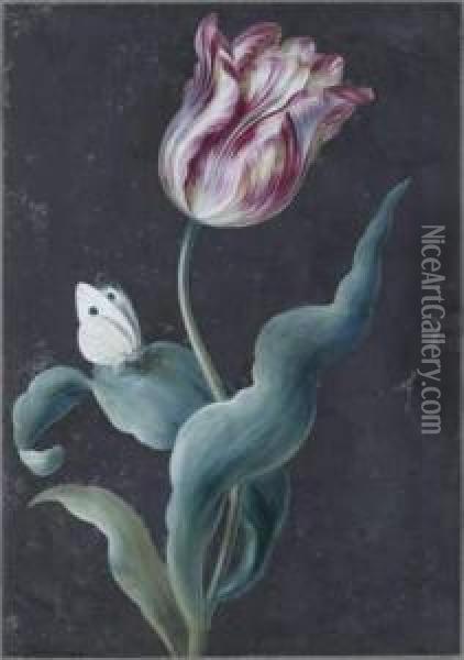 Tulipe Et Papillon Oil Painting - Christophe-Ludwig Agricola