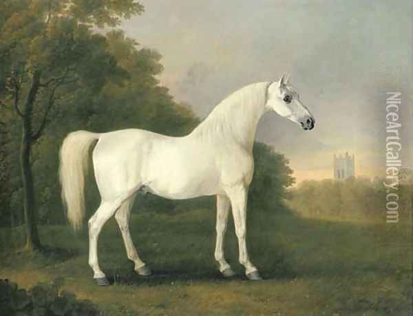 Mambrino, a grey stallion in a wooded landscape Oil Painting - John Boultbee