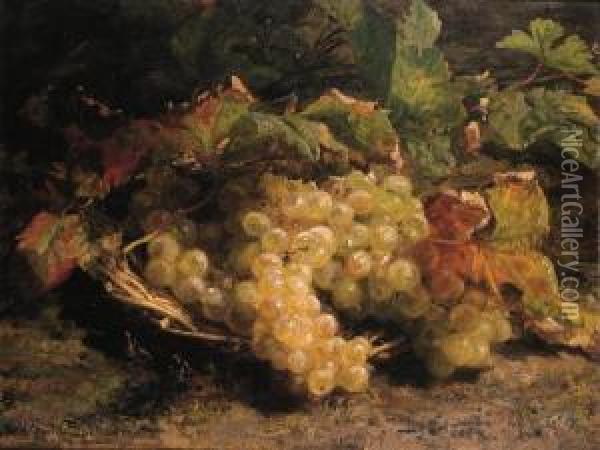 Autumn Treasures: Grapes In A Wicker Basket Oil Painting - Geraldine Jacoba Van De Sande Bakhuyzen