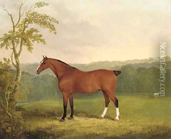 A bay carriage horse Oil Painting - James Barenger