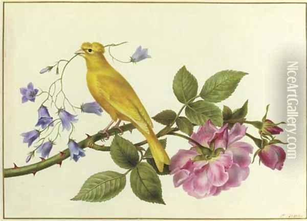 A canary perched on a the branch of a pink rose, carrying harebells in its beak Oil Painting - Pancrace Bessa