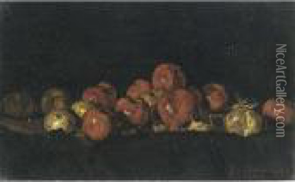 A Still Life With Apples Oil Painting - Suze Robertson