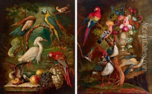 Coppia Di Nature Morte Con Uccelli Esotici E Una Composizione Floreale E Frutti Oil Painting - Jakob Bogdani Eperjes C