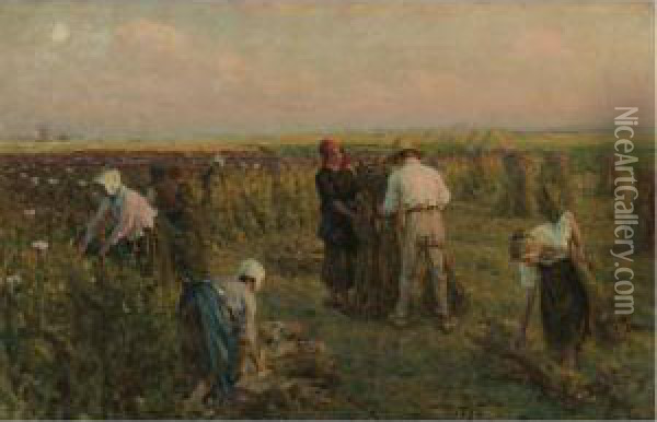 Harvesting The Oil Poppies Oil Painting - Jules Breton
