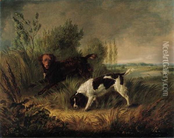 Spaniels In A Wooded River Landscape Oil Painting - Edmund Bristow