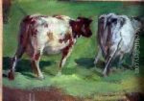 Cattle Study Oil Painting - William Mason Brown