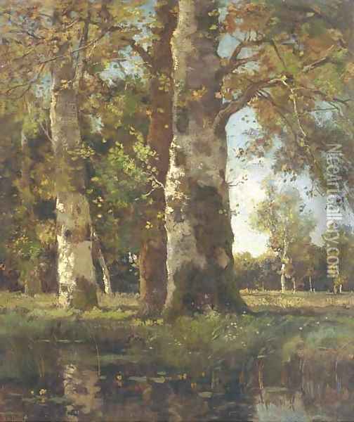 Beuken stammen sunlit beeches by a pond Oil Painting - Theophile Emile Achille De Bock