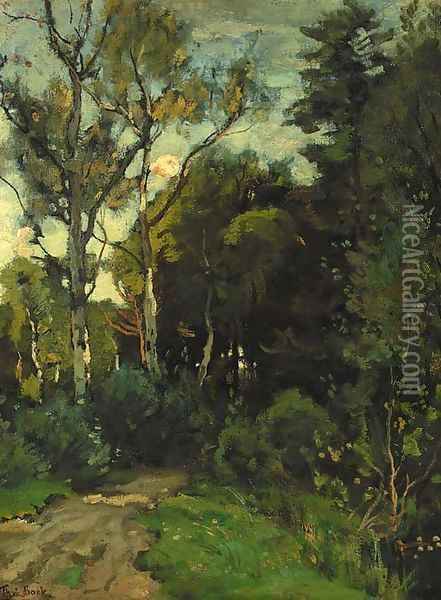 A sunlit birch forest Oil Painting - Theophile Emile Achille De Bock