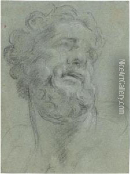 Study Of A Classical Head Oil Painting - Agostino Carracci