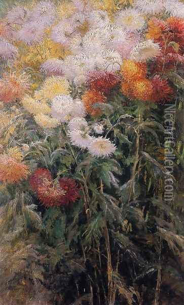 Chrysanthemums Garden At Petit Gennevilliers Oil Painting - Gustave Caillebotte