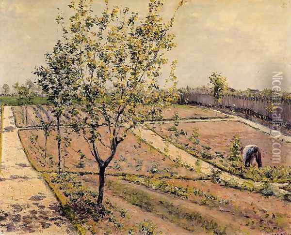 Kitchen Garden Petit Gennevilliers Oil Painting - Gustave Caillebotte