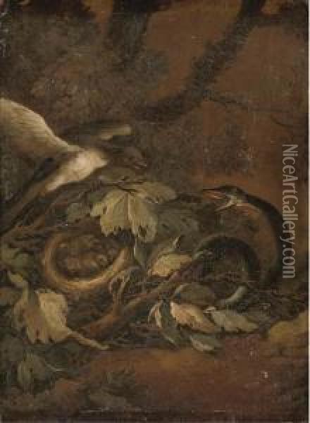 A Snake Startling A Bird And A Nest Of Chicks On A Forestfloor Oil Painting - Carl Wilhelm de Hamilton