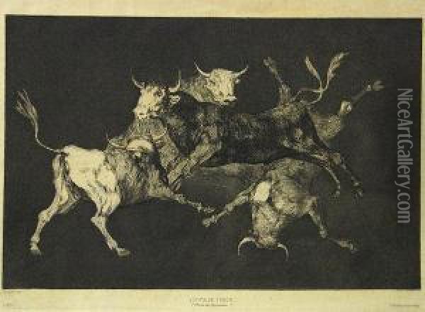 Una Reina Del Circo; Otras Leyes Por El Pueblo; Lluvia De Toros; From Proverbios Oil Painting - Francisco De Goya y Lucientes