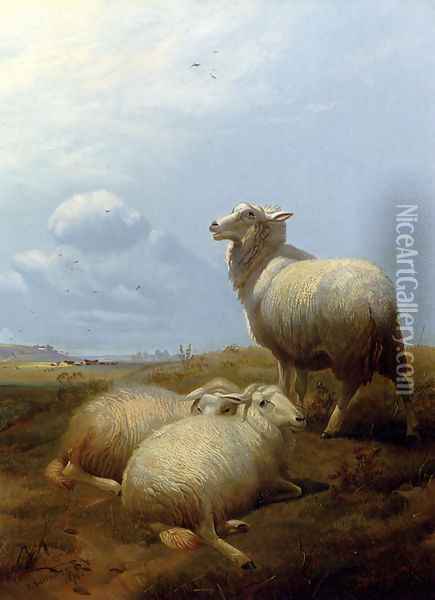 Sheep At Pasture Oil Painting - Thomas Sidney Cooper