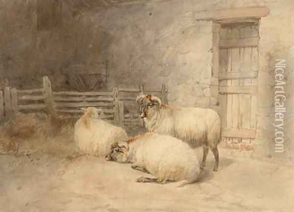 Sheep resting before a barn Oil Painting - Thomas Sidney Cooper
