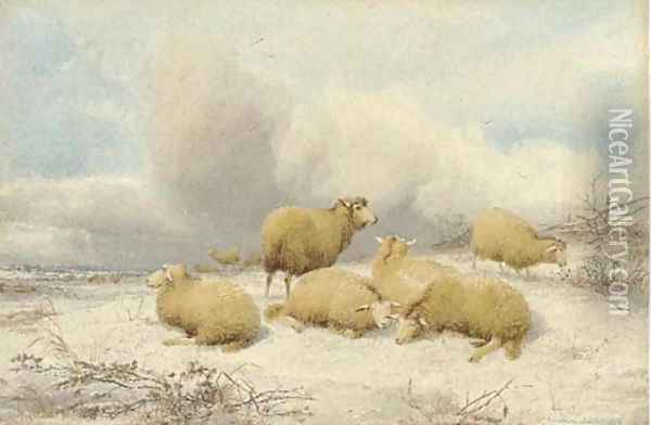 Sheep resting in the snow Oil Painting - Thomas Sidney Cooper