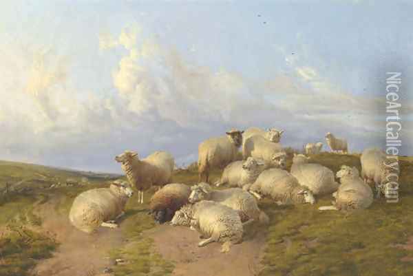 Sheep at Canterbury Meadow Oil Painting - Thomas Sidney Cooper