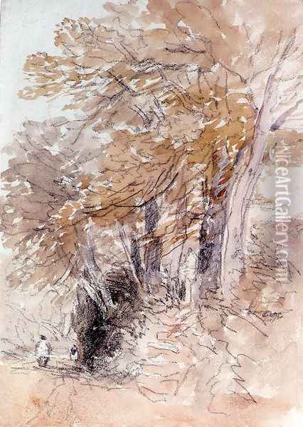 Tree-Lined Lane With Steep Banks Oil Painting - David Cox
