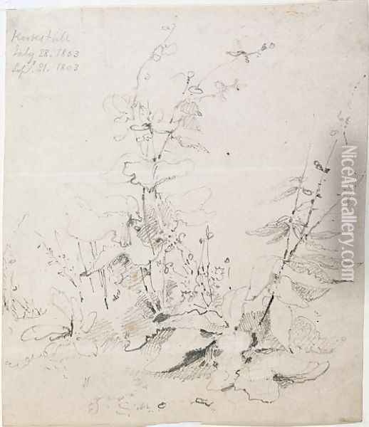 Study of Weeds, Kirkstall, 1803 Oil Painting - John Sell Cotman